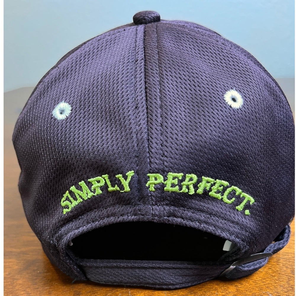 Patron Tequila Strapback Hat Black Embroidered Bee Logo Simply Perfect Cap OSFM - Picture 3 of 8